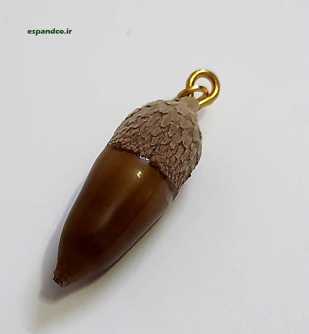  سازه هنری بلوط 